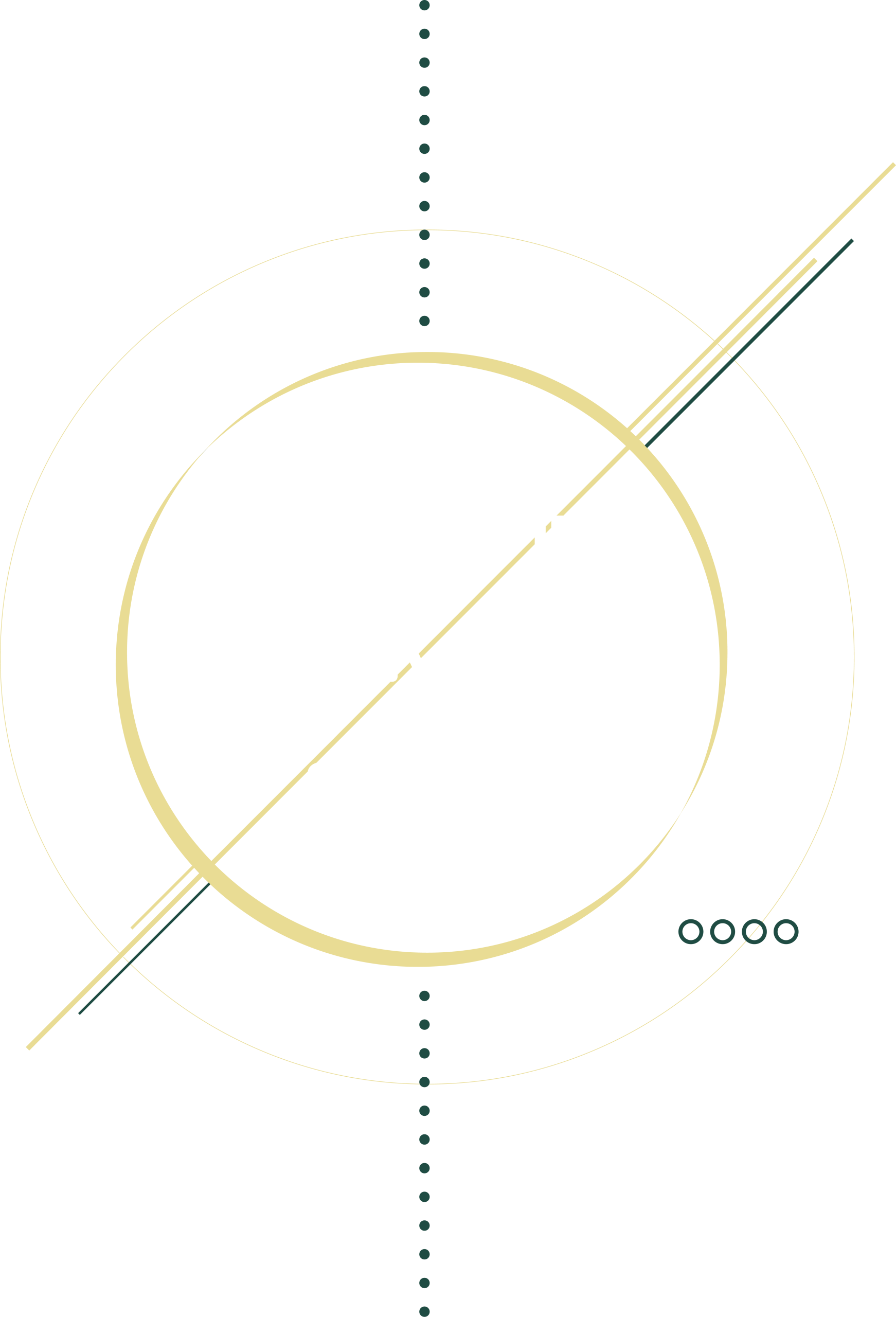 Logo White